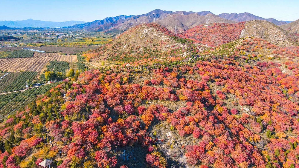 浅山|青山一脉五彩绸！人少景美还免费！快来“红透”的顺义舞彩浅山