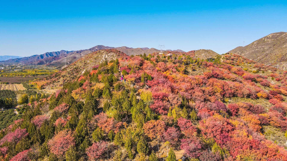 浅山|青山一脉五彩绸！人少景美还免费！快来“红透”的顺义舞彩浅山