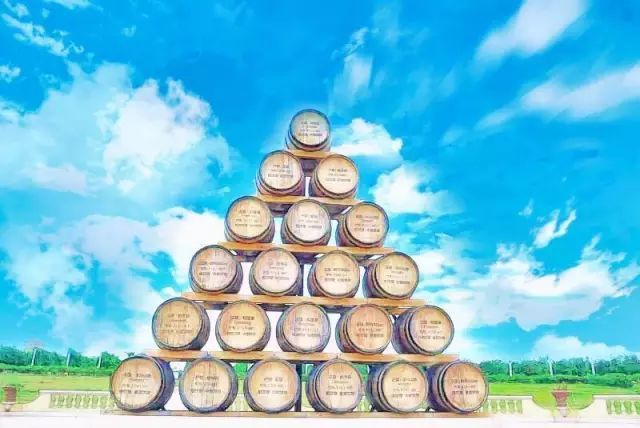 卡斯特酒庄|一文览尽中国最美酒庄