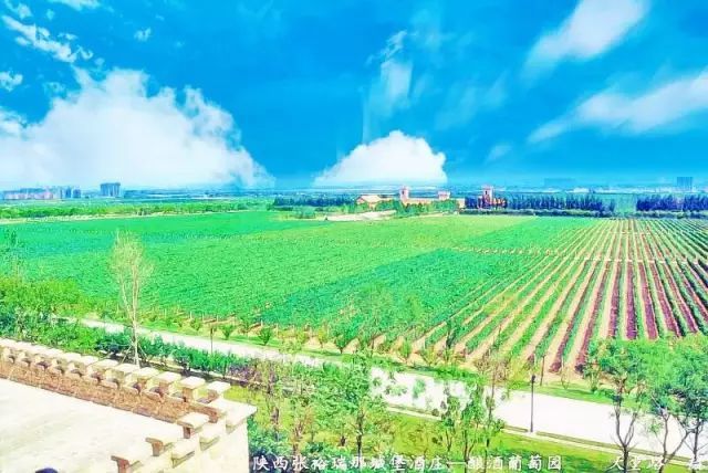 卡斯特酒庄|一文览尽中国最美酒庄