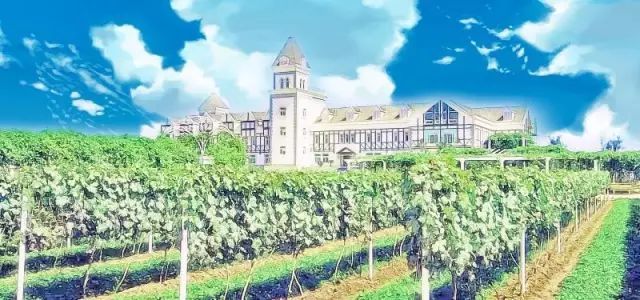 卡斯特酒庄|一文览尽中国最美酒庄