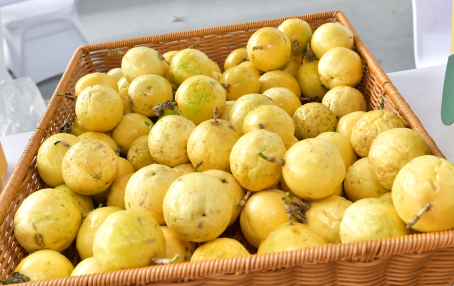 特色产品丨北流百香果香飘千百里