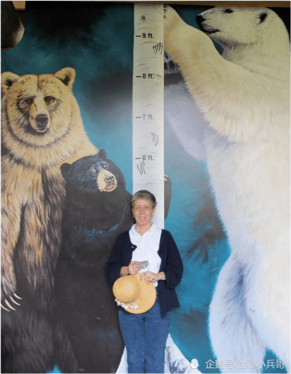 北极熊|12个“大”和“小”的极端对比照！看完才知道自己太渺小