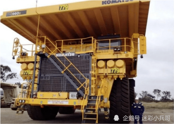 北极熊|12个“大”和“小”的极端对比照！看完才知道自己太渺小