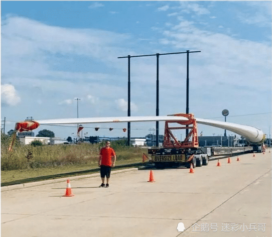 北极熊|12个“大”和“小”的极端对比照！看完才知道自己太渺小