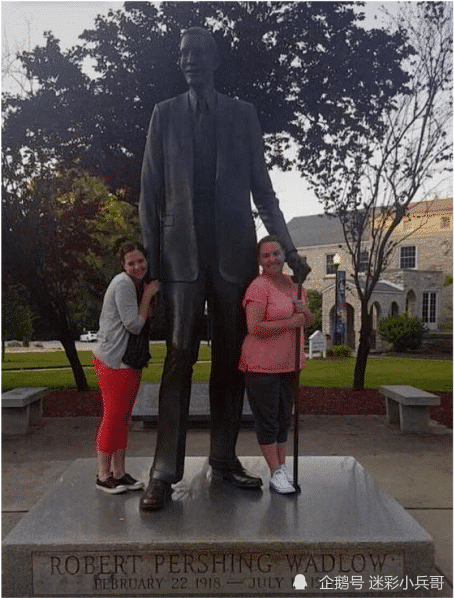 北极熊|12个“大”和“小”的极端对比照！看完才知道自己太渺小