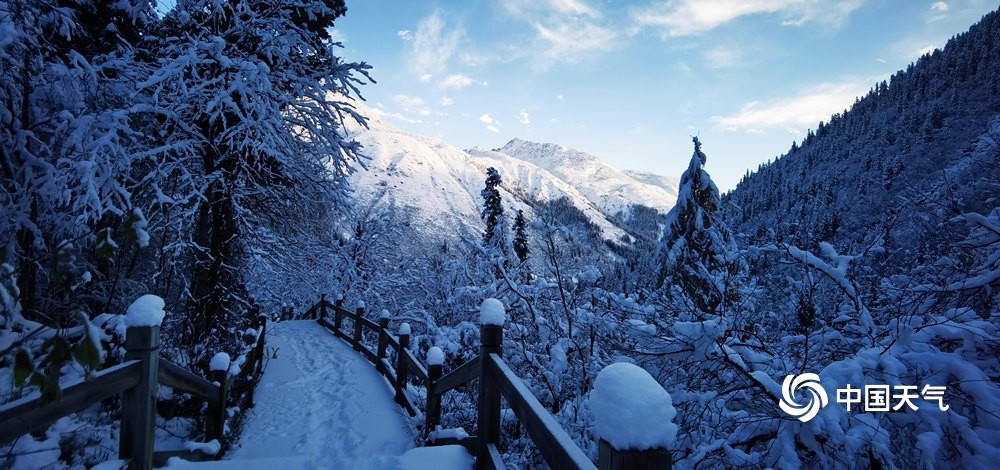10月20日,达古冰川景区开始下雪,目之所及白雪皑皑,银装素裹,宛如仙境