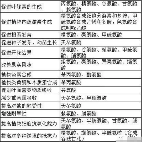 挖掘植物内在的潜能|氨基酸|多肽|寡肽