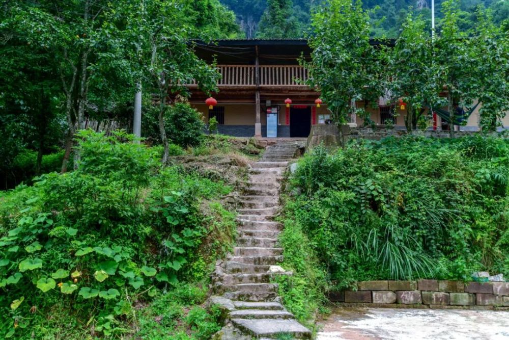 美丽乡村六旬圆梦石柱乡走出一位花老板