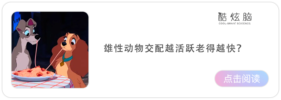 衰老|什么是成功的衰老？我们会随着年龄的增长变得更聪明？