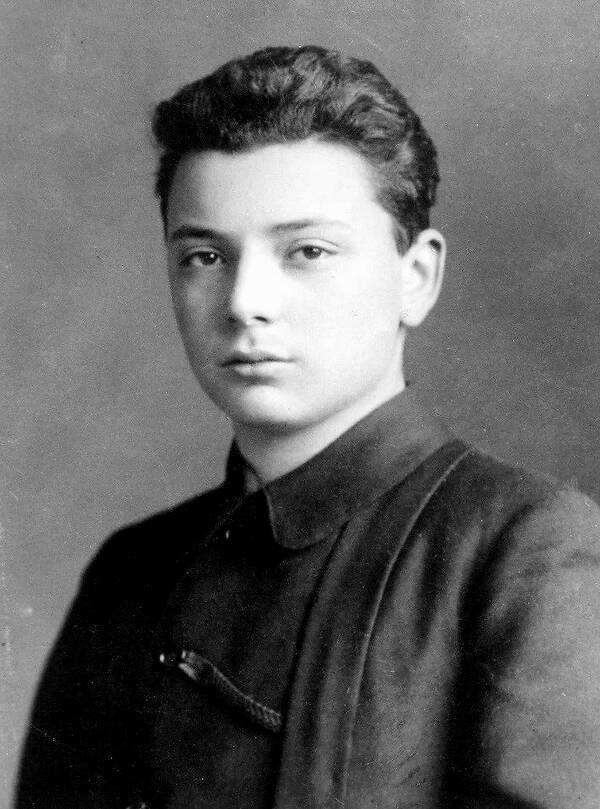 朗道|智商跟成就成正比吗？他们都比爱因斯坦聪明，为何成就却不如他？