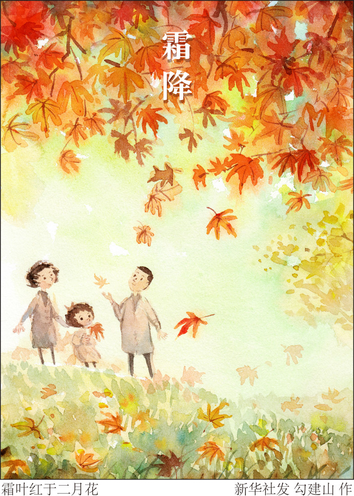 图表插画二十四节气霜降霜叶红于二月花
