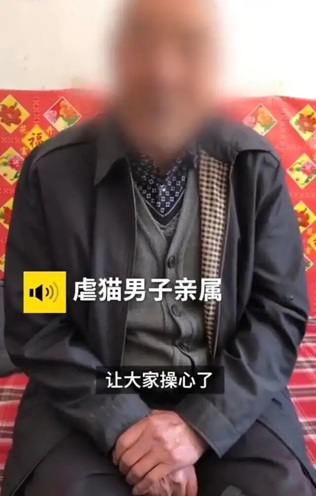 虐猫男子家属道歉 他很老实 不捣蛋 他只是好奇心强 虐猫