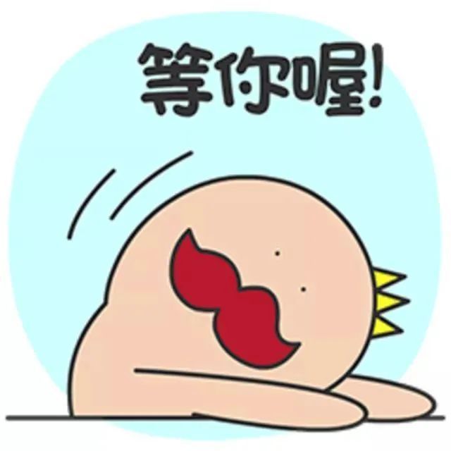 菊花|打卡～西柏店菊花盛开 静待游客采摘