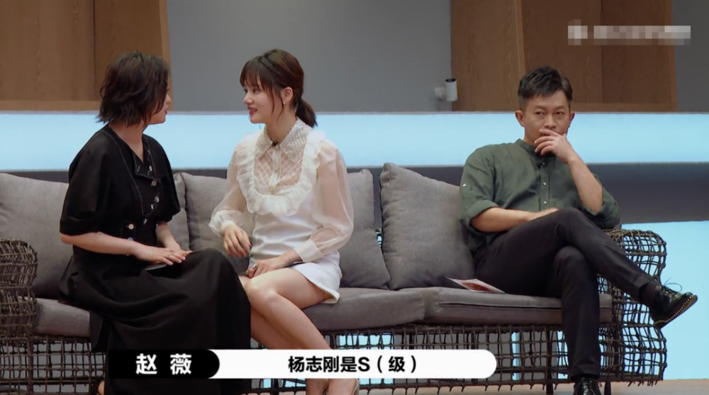 杨志刚|中年资源咖的任性人生