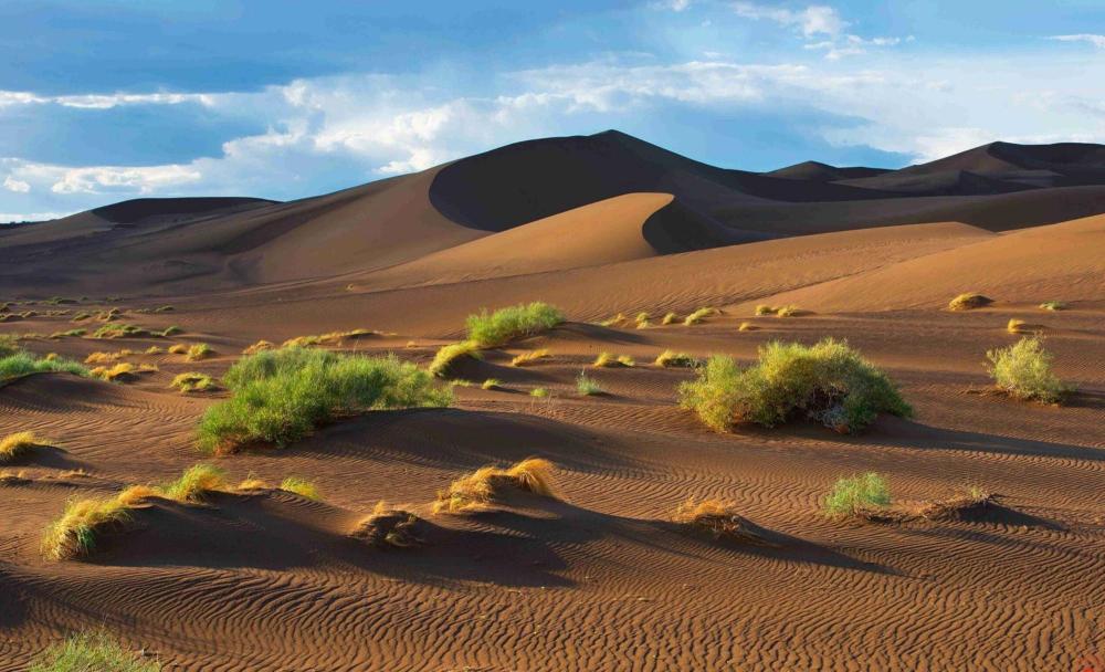 沙漠若全变成森林,将会发生什么?专家:后果难以接受