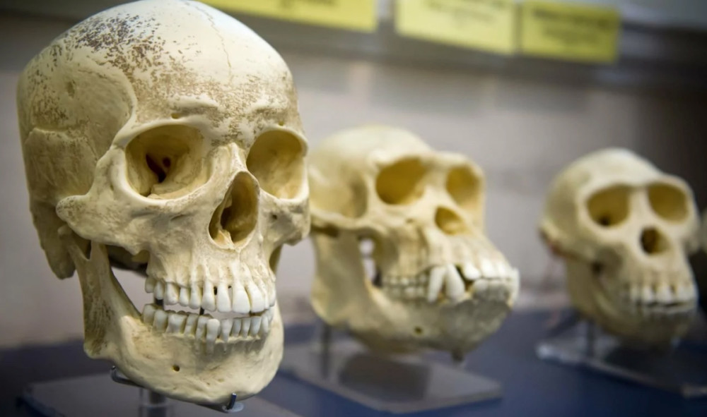 科学家|探索一下，未来人类可能发生的变化