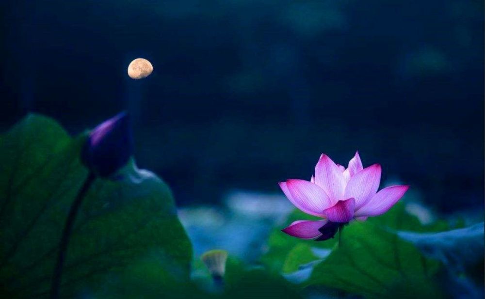 朱自清|《荷塘月色》中的闰儿，被妈妈哄睡，平时恐怕被朱自清打过不少次