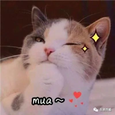 大甜甜|双眼皮修复太成功了吧！大甜甜的变美改造工程，有点东西