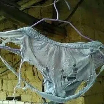 医生|趣知识：99％的铲屎官都不知道的小知识！