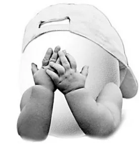 医生|趣知识：99％的铲屎官都不知道的小知识！