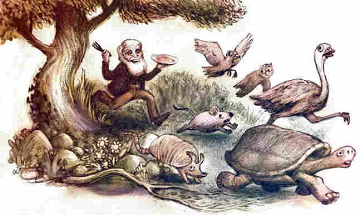 医生|趣知识：99％的铲屎官都不知道的小知识！