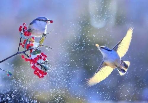 闻一多|为什么感觉现在老是有人拿平平仄仄来说事，多提倡些新诗不好吗？