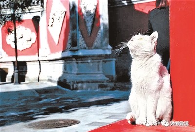 故宫|秋色与艺术兼享 这些户外博物馆值得带娃品味