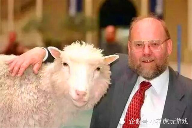 克隆羊|克隆羊1996年已经有了，为何却没有克隆人？羊的下场让人后背发凉