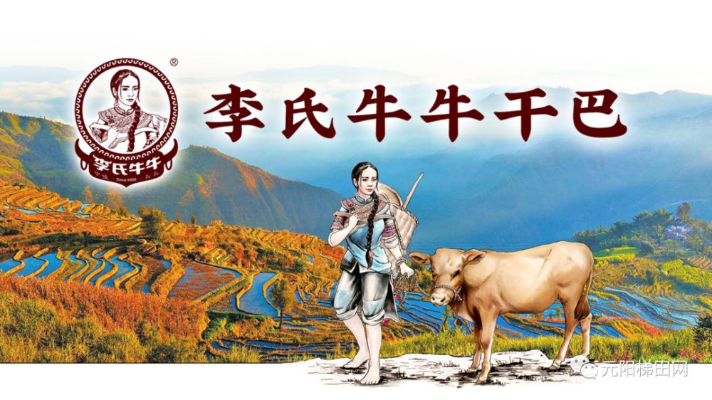 红河县人民检察院依法对张文鸣决定逮捕