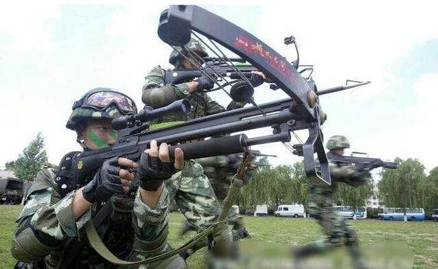 1把弩能买10支95步枪射程也不如步枪为啥解放军偏要用它