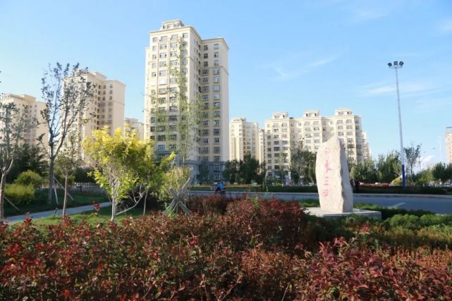 三坪农场也太太太太太美了