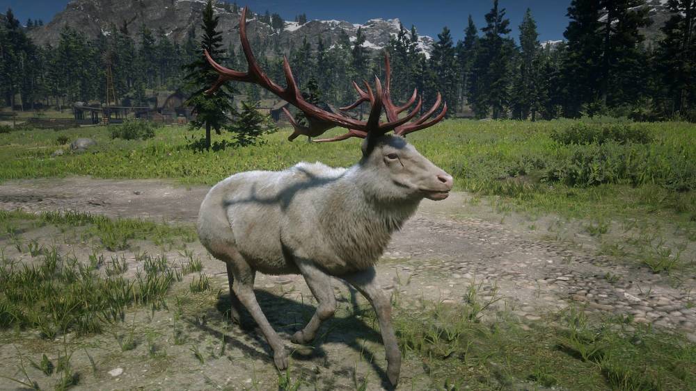 荒野大镖客2 ol"传奇动物"图鉴,草食动物篇