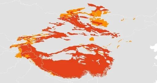 雪豹|需要多少努力，才能给雪豹一个光明的未来？