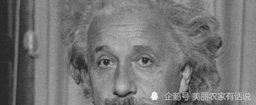 张召忠|日本的“顶尖科学家”有294人，美国有632人，我国有多少人呢？