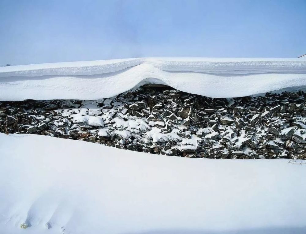 春分|二十四节气，大自然的脉搏