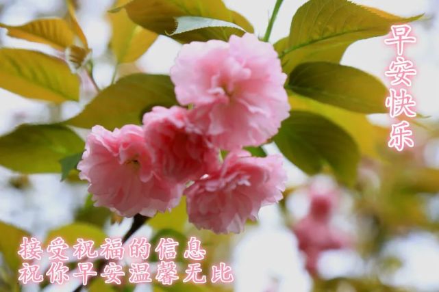 6月7日早上好发朋友圈的温馨祝福图片清晨暖心的问候语句 问候语大全