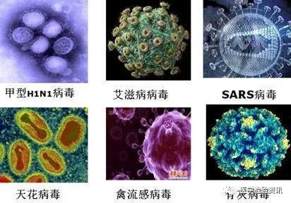 疫苗|疫苗究竟是个什么东西，病毒还是细菌？