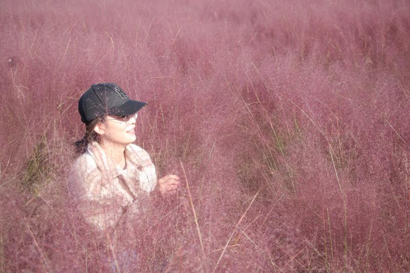 金秋|“粉红花海”虽美，但观赏粉黛乱子草还有这些得注意