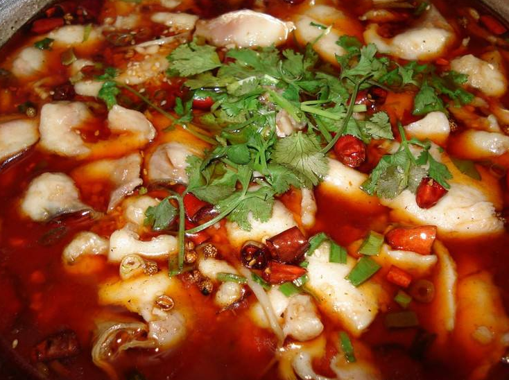 最美川菜肥肠鱼用味道来征服你香辣过瘾麻得舒畅口水止不住