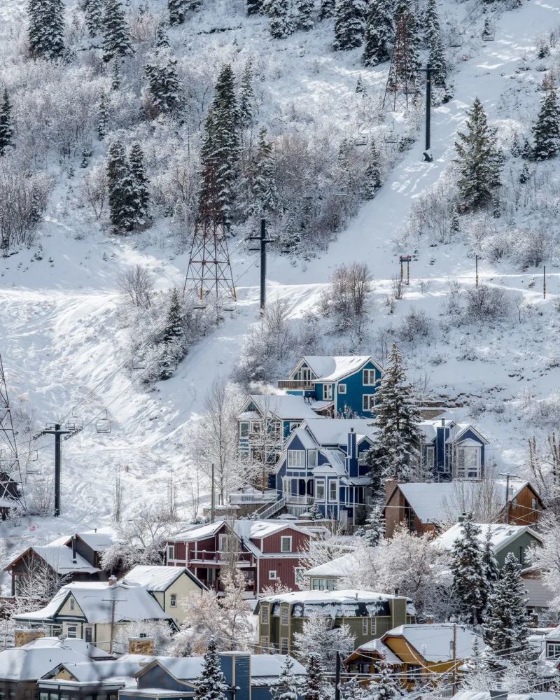 在冰天雪地里，你要尽情撒欢，放空自己；你要放下戒备，释放自己；你要自由