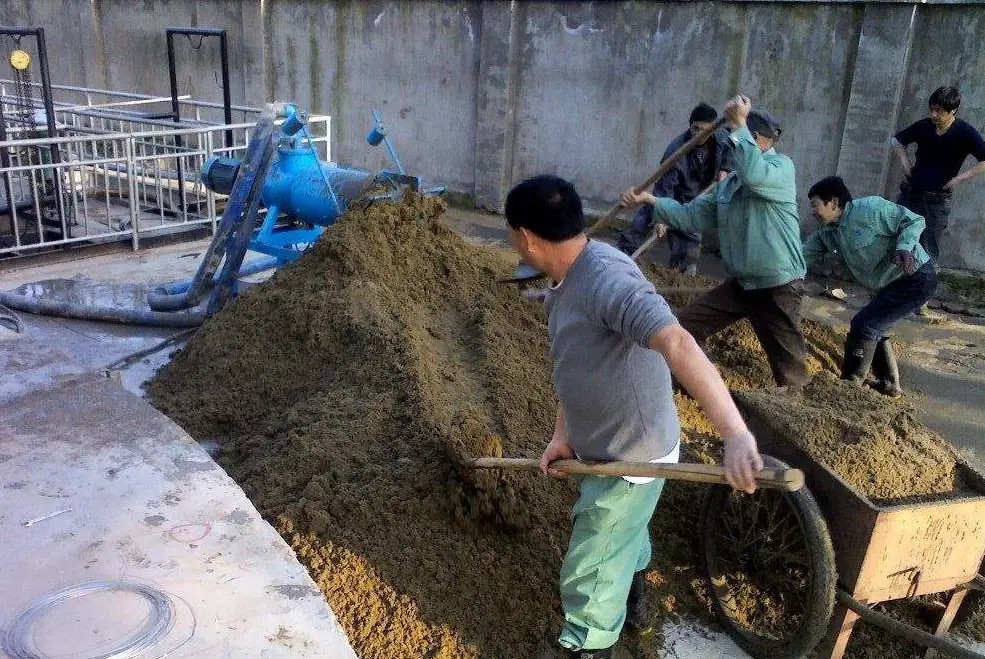 猪毛|中国每年屠宰7亿头猪，猪毛都用来干啥了？果然猪全是都是宝