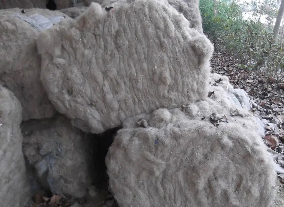 猪毛|中国每年屠宰7亿头猪，猪毛都用来干啥了？果然猪全是都是宝