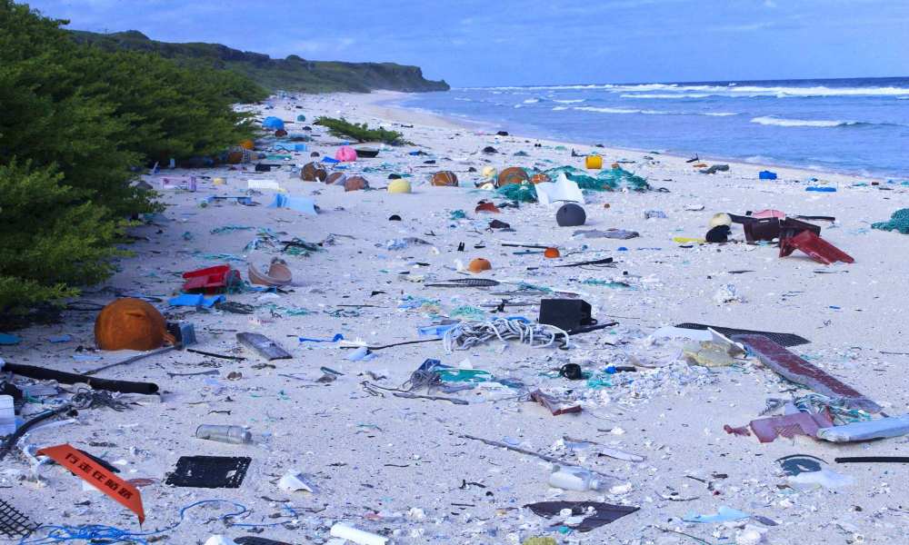 塑料污染危机将得以解决!科学家发现新方法,加速分解变废为宝!