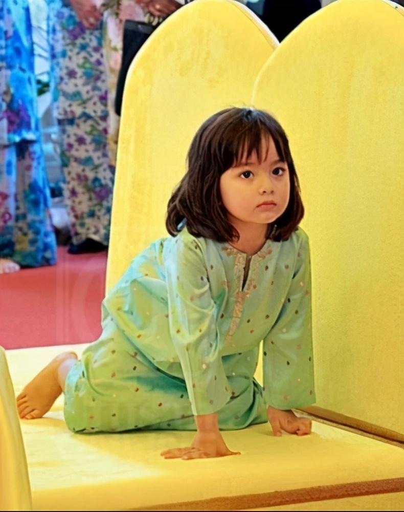 9岁公主"可爱臭脸"萌翻全球!奶凶高冷,连英国王子都不睬_腾讯新闻