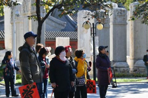 五塔寺|搬迁居民齐聚五塔寺 赏秋游园共庆重阳