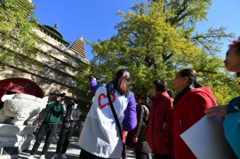 五塔寺|搬迁居民齐聚五塔寺 赏秋游园共庆重阳