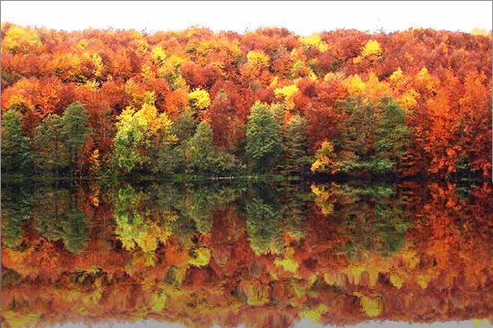 薊州火了最全紅葉地圖快收好錯過這次又等一年