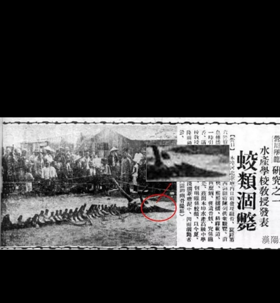 不知道大家还是否记得多年前营口坠龙事件?_腾讯新闻