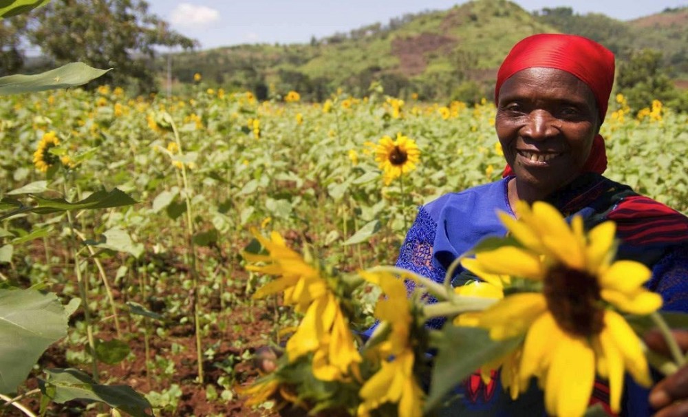 中国人在非洲土地上种出蔬菜当地黑人感到十分震撼